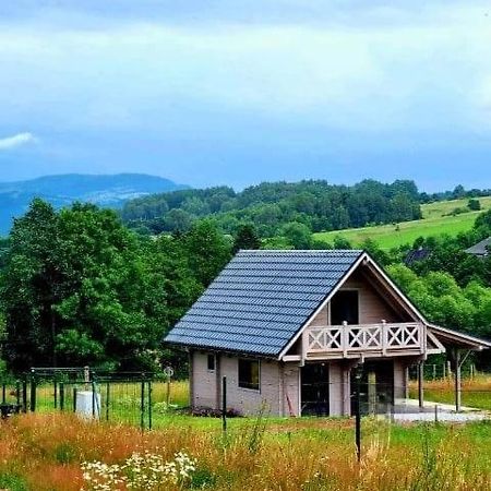 Domek Pod Ostoja Gory Sowie Lomnica  Buitenkant foto