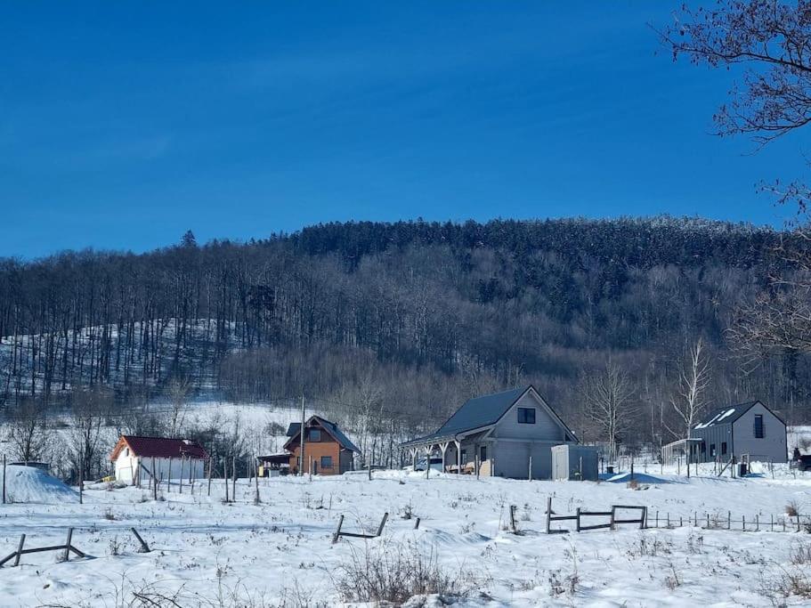 Domek Pod Ostoja Gory Sowie Lomnica  Buitenkant foto