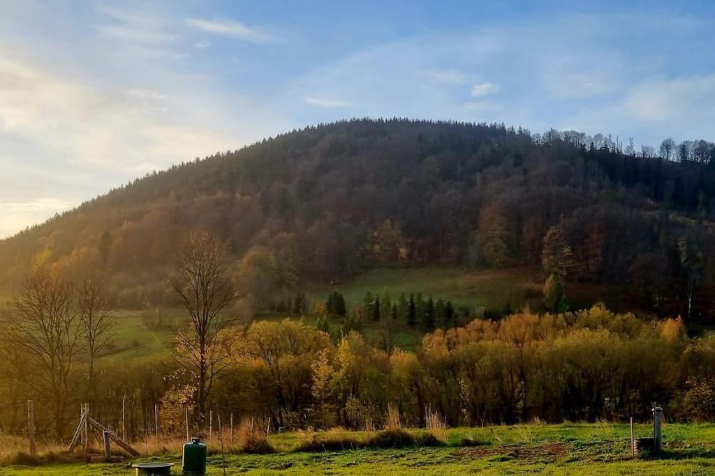 Domek Pod Ostoja Gory Sowie Lomnica  Buitenkant foto