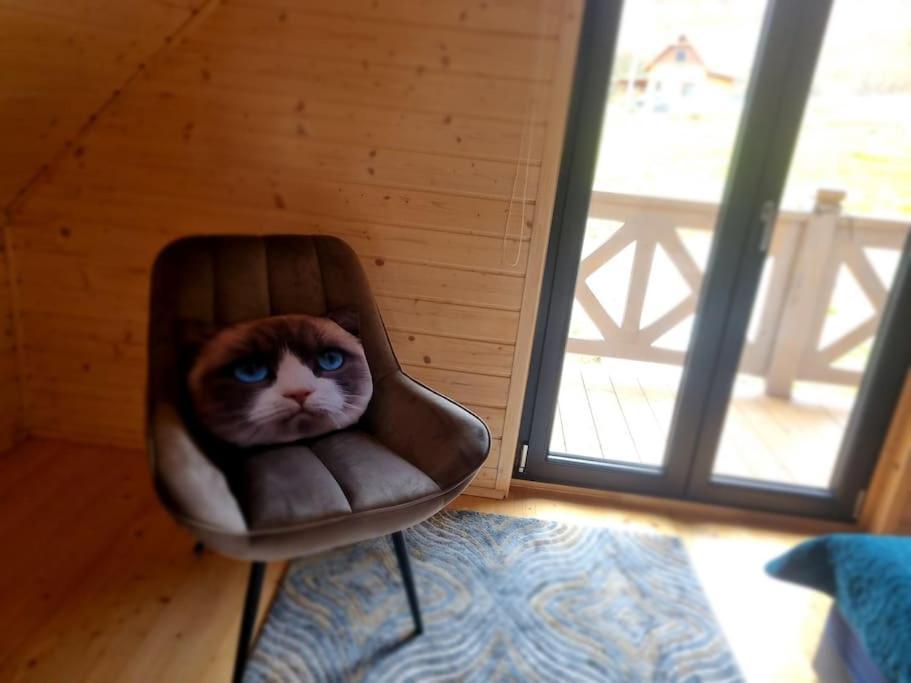 Domek Pod Ostoja Gory Sowie Lomnica  Buitenkant foto