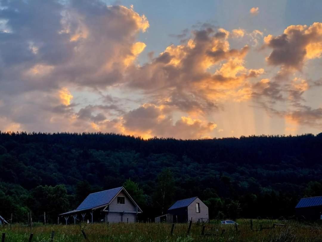 Domek Pod Ostoja Gory Sowie Lomnica  Buitenkant foto