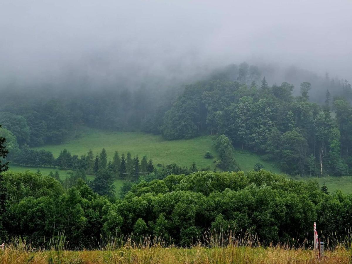 Domek Pod Ostoja Gory Sowie Lomnica  Buitenkant foto