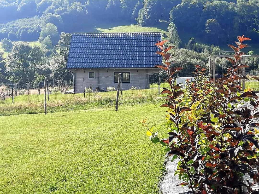 Domek Pod Ostoja Gory Sowie Lomnica  Buitenkant foto