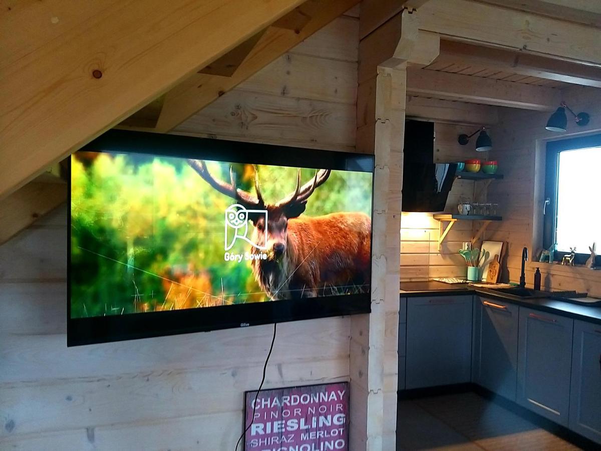 Domek Pod Ostoja Gory Sowie Lomnica  Buitenkant foto