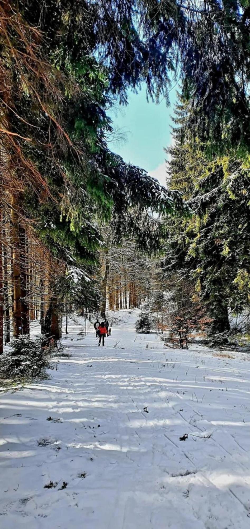 Domek Pod Ostoja Gory Sowie Lomnica  Buitenkant foto