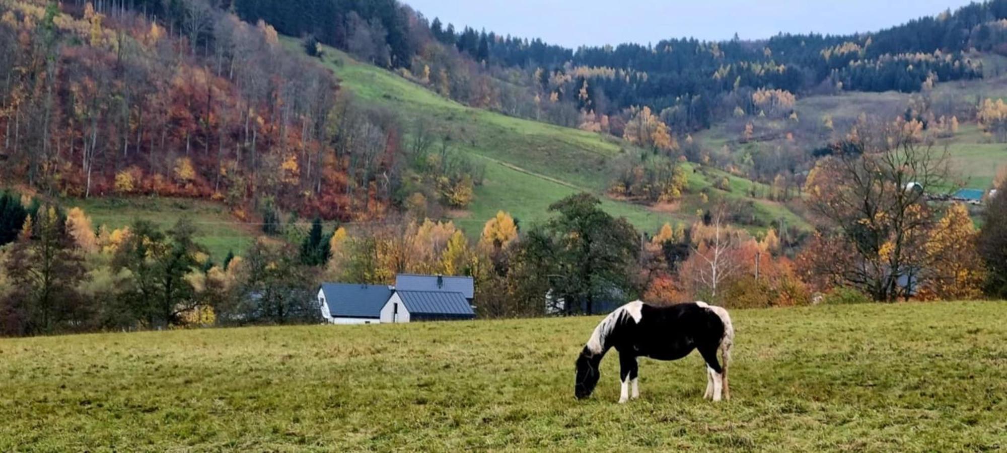Domek Pod Ostoja Gory Sowie Lomnica  Buitenkant foto