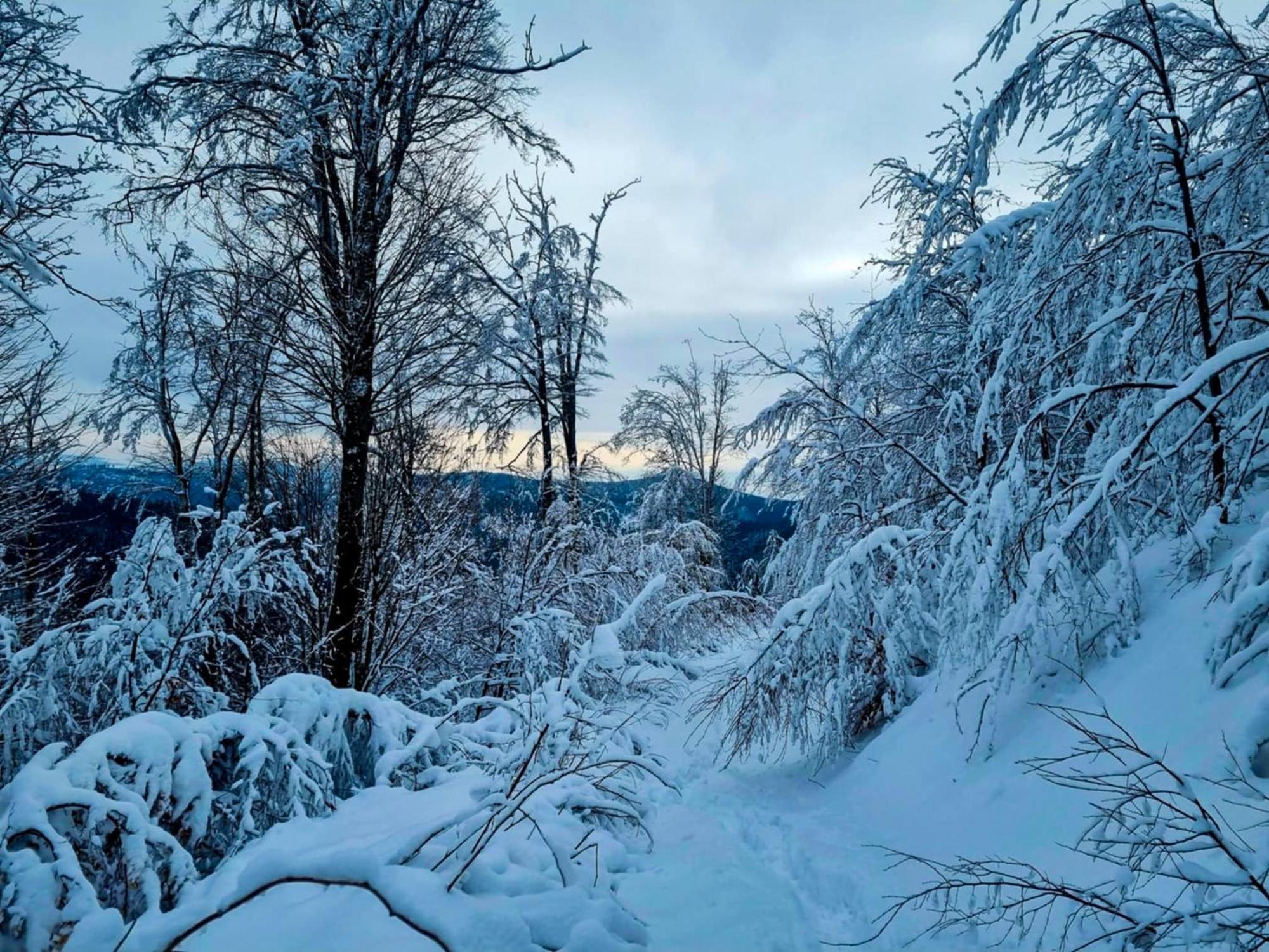 Domek Pod Ostoja Gory Sowie Lomnica  Kamer foto